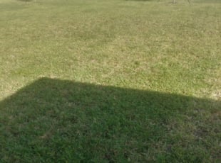 Haines City Fl Lawn Care Service Lawn Mowing From 19 Rated Best 2020