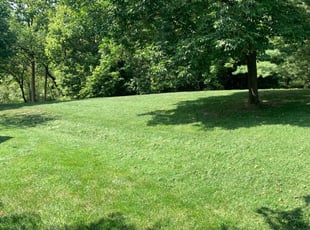 Hamilton Oh Lawn Care Service Lawn Mowing From 19 Rated Best 2020