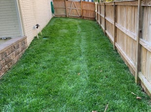 Hamilton Oh Lawn Care Service Lawn Mowing From 19 Rated Best 2020