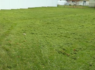 Hamilton Oh Lawn Care Service Lawn Mowing From 19 Rated Best 2020