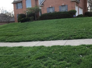 Hamilton Oh Lawn Care Service Lawn Mowing From 19 Rated Best 2020
