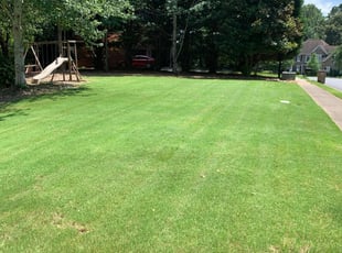 1 Hampton Va Lawn Care Service Lawn Mowing From 19 Best 2020
