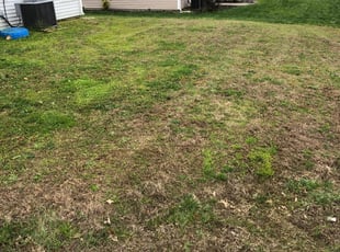 Harrisburg Nc Lawn Care Service Lawn Mowing From 19 Rated Best 2020