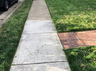 Harrisburg Nc Lawn Care Service Lawn Mowing From 19 Rated Best 2020