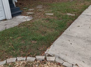 1 Harrison Township Mi Lawn Care Service Lawn Mowing From 19 Best 2020