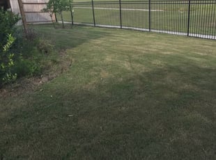 1 Harrison Township Mi Lawn Care Service Lawn Mowing From 19 Best 2020