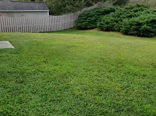 1 Hartford Ct Lawn Care Service Lawn Mowing From 19 Best 2020