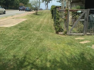 Harvey Il Lawn Care Service Lawn Mowing From 19 Rated Best 2020