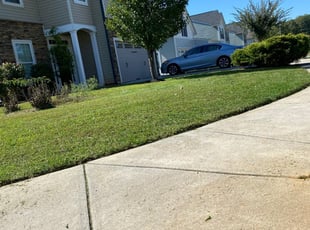 Hastings Mn Landscaping From 29 1 Landscapers Best Of 2020