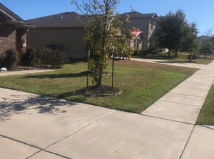 Hazel Green Al Lawn Care Service Lawn Mowing From 19 Rated Best 2020