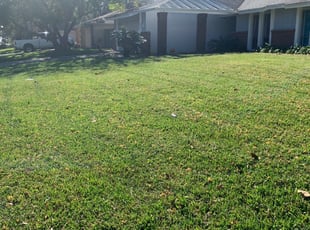 1 Helotes Tx Lawn Care Service Lawn Mowing From 19 Best 2020