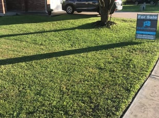 1 Helotes Tx Lawn Care Service Lawn Mowing From 19 Best 2020