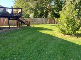1 Hemet Ca Lawn Care Service Lawn Mowing From 19 Best 2020