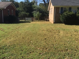 1 Hendersonville Nc Lawn Care Service Lawn Mowing From 19 Best 2020