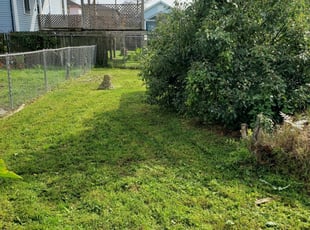 1 Hendersonville Nc Lawn Care Service Lawn Mowing From 19 Best 2020