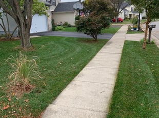 1 Hendersonville Tn Lawn Care Service Lawn Mowing From 19 Best 2020