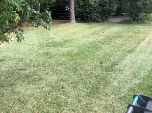 Henrico Va Lawn Care Service Lawn Mowing From 19 Rated Best 2020