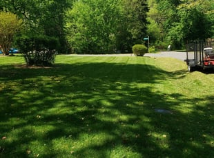 Henrico Va Lawn Care Service Lawn Mowing From 19 Rated Best 2020