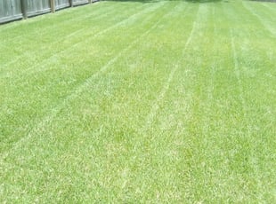 1 Herndon Va Lawn Care Service Lawn Mowing From 19 Best 2020