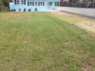 High Point Nc Lawn Care Service Lawn Mowing From 19 Rated Best 2020
