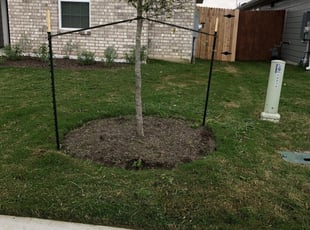 1 Highland In Lawn Care Service Lawn Mowing From 19 Best 2020