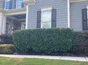 1 Highland Park Il Lawn Care Service Lawn Mowing From 19 Best 2020