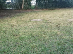 1 Hilliard Oh Lawn Care Service Lawn Mowing From 19 Best 2020