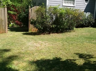 Hiram Ga Lawn Care Service Lawn Mowing From 19 Rated Best 2020