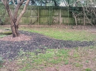 12 Best Lawn Care Services in Holly Springs, MS 2020 ...