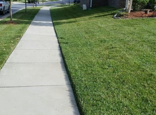 Holly Springs Nc Lawn Care Service Lawn Mowing From 19 Rated Best 2020