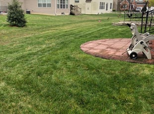 Marcos Lawn Service Landscape 561 Photos 1 Review Landscape Company 491 Ginny Ln Collierville Tn 38017