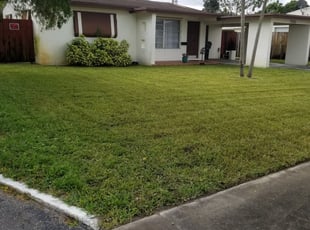 1 Memphis Tn Lawn Care Service Lawn Mowing From 19 Best 2020