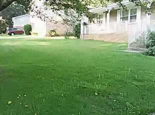 1 Homestead Fl Lawn Care Service Lawn Mowing From 19 Best 2020