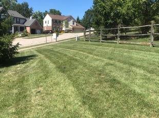 1 Honolulu Hi Lawn Care Service Lawn Mowing From 19 Best 2020