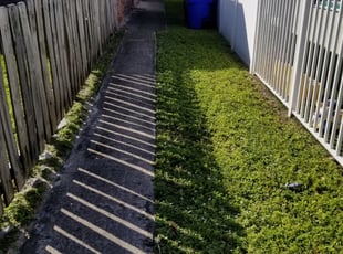 1 Hopkins Mn Lawn Care Service Lawn Mowing From 19 Best 2020