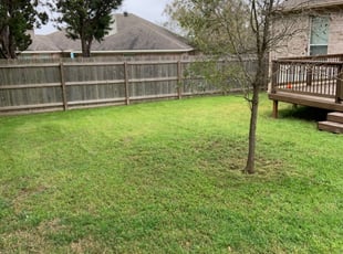 Hudson Fl Lawn Care Service Lawn Mowing From 19 Rated Best 2020