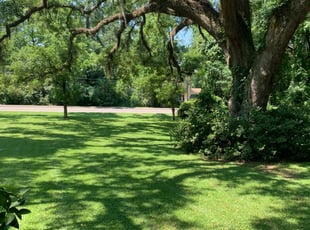 Hudson Fl Lawn Care Service Lawn Mowing From 19 Rated Best 2020