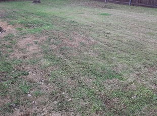 13 Best Lawn Care Services in Hudson, WI 2020 | Lawn Mowing