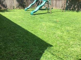 1 Humble Tx Lawn Care Service Lawn Mowing From 19 Best 2020