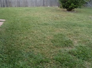 Hyattsville Md Lawn Care Service Lawn Mowing From 19 Rated Best 2020