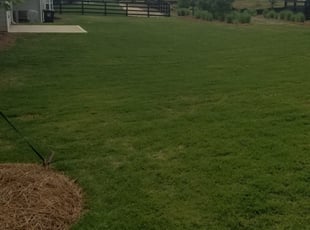 Indian Rocks Beach Fl Lawn Care Service Lawn Mowing From 19 Rated Best 2020