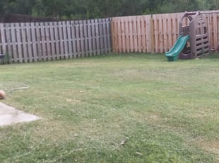 Indian Trail, NC Lawn Care Service | Lawn Mowing from $19 ...