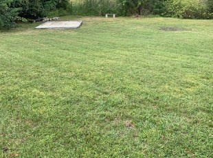 Indian Trail Nc Lawn Care Service Lawn Mowing From 19 Rated Best 2020