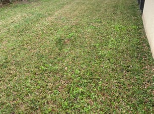 Indian Trail Nc Lawn Care Service Lawn Mowing From 19 Rated Best 2020