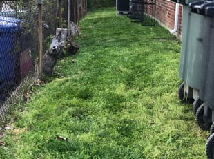 #1 Indianapolis, IN Lawn Care Service | Lawn Mowing from ...