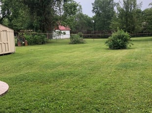 1 Indianapolis In Lawn Care Service Lawn Mowing From 19 Best 2020