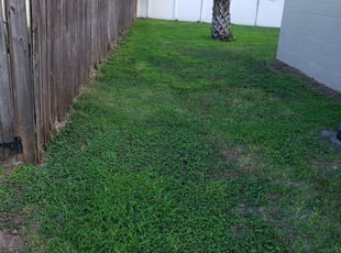1 Irmo Sc Lawn Care Service Lawn Mowing From 19 Best 2020