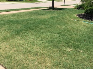 Irving Tx Lawn Care Service Lawn Mowing From 19 Rated Best 2020