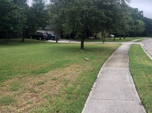Irving Tx Lawn Care Service Lawn Mowing From 19 Rated Best 2020