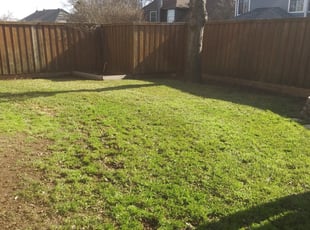 Virginia Green 1 804 Photos Landscape Company 7421 Ranco Rd Henrico Va 23228